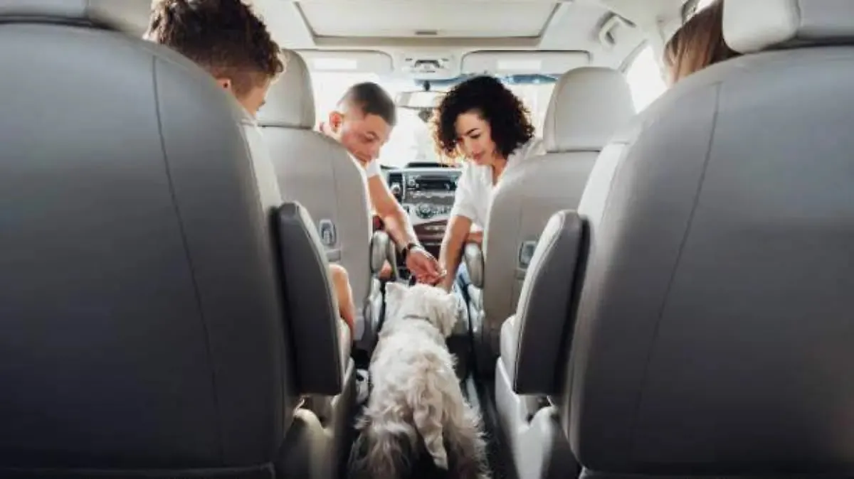 Nuevo requisito para cruzar con perros de Juárez a El Paso