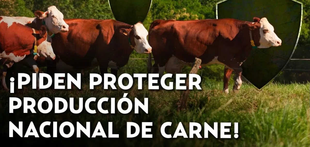 Ganaderos exigen frenar importación de carne ante excedente de producción en México
