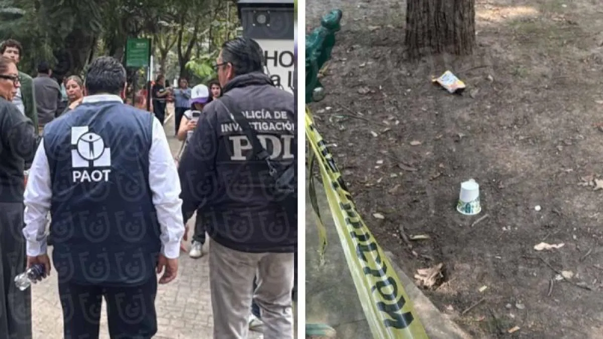¿Qué indicios se recabaron en el Parque España tras la muerte de lomitos?