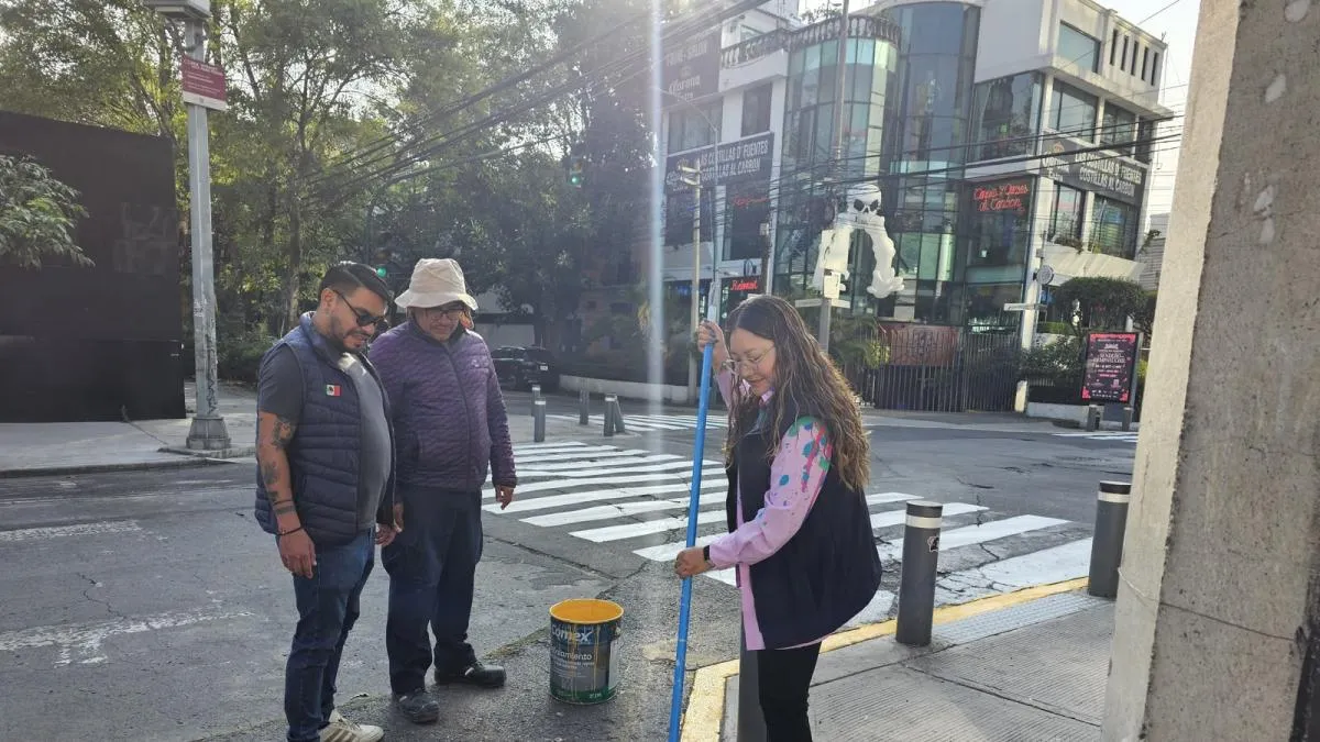 Retiran cuatro árboles secos en la Plaza Río de Janeiro para prevenir riesgos
