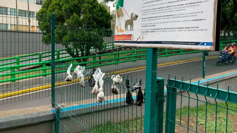‘Urge un sistema para manejar toneladas diarias de heces de perros en CDMX’