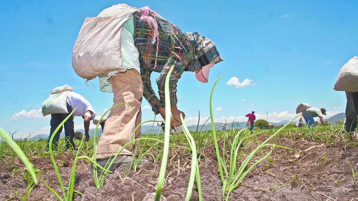 Sube a 10 la cifra de municipios de Querétaro en condiciones anormalmente secas