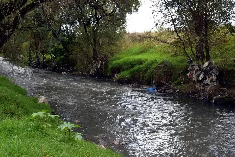 Los ríos Santiago, Atoyac, Tula y Tijuana enfrentan problemas de contaminación por aguas residuales y descargas industriales, con estudios que documentan sustancias químicas, daños en el ADN de habitantes de zonas cercanas y gases que deterioran la calida