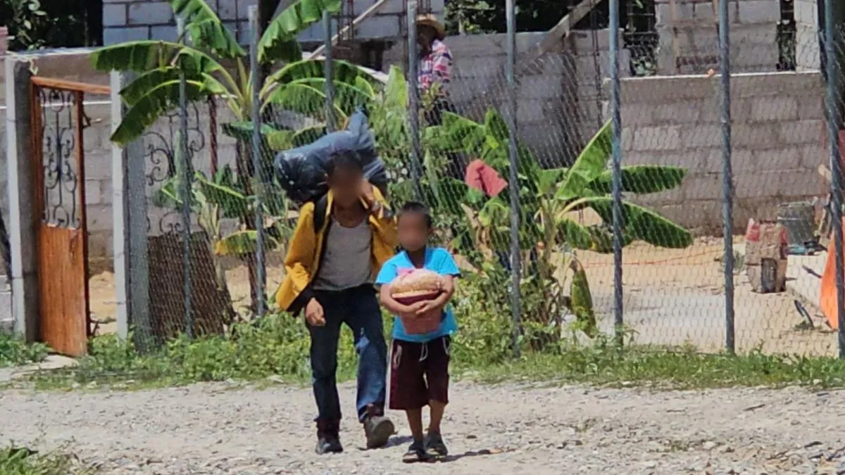 Desplazamiento interno por violencia en México se concentra en 662 municipios