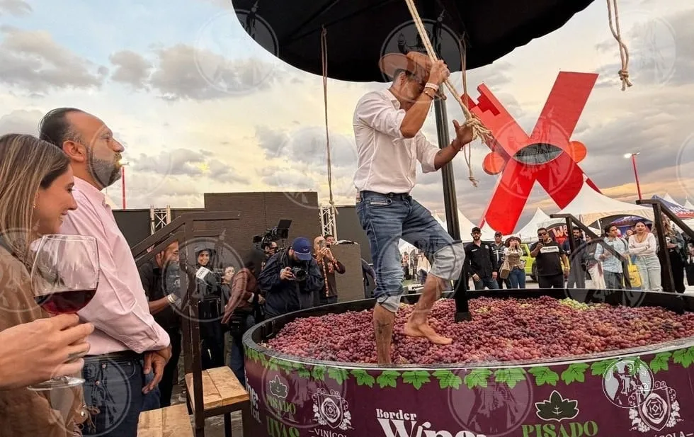 Entre música y comida, viven el Border Wine Fest