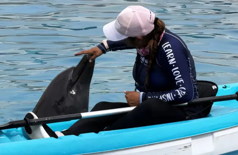 Tras las inspecciones de 2025 que derivaron en la clausura total temporal de Dolphin Connection Cancún, la Profepa mantiene asegurados a nueve delfines y ahora evalúa con especialistas si seis ejemplares pueden ser reubicados