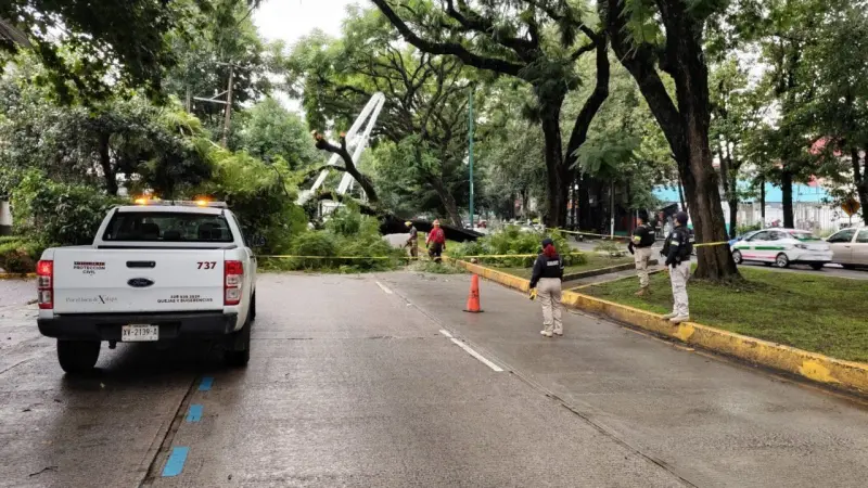 Persisten lluvias; PC mantiene vigilancia en municipios veracruzanos