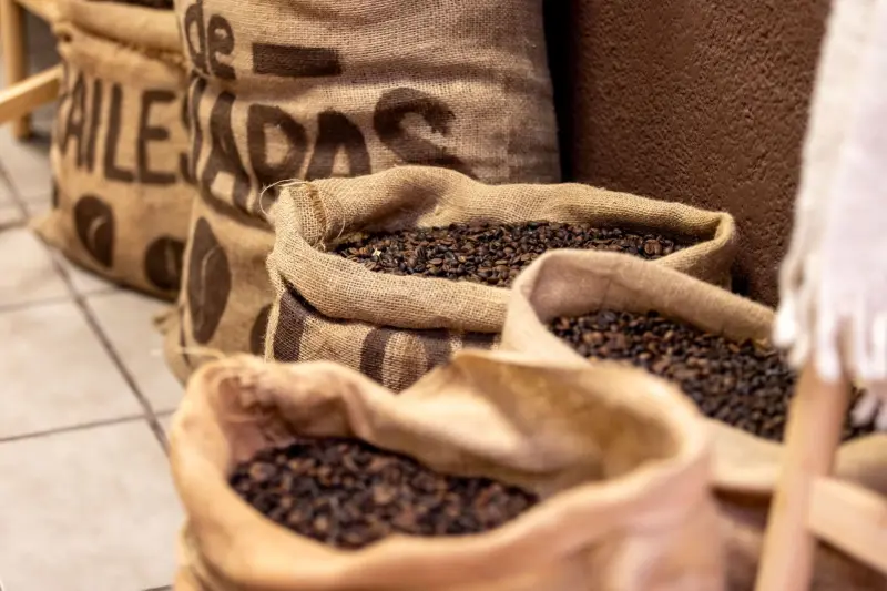 El café: una historia que debemos seguir cultivando