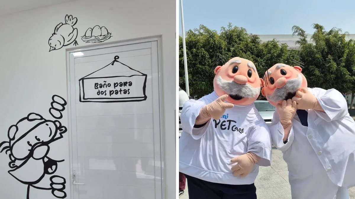 SimiPet Care abre su primer laboratorio clínico: así funcionará y esto costará, ¡cuida la salud de tu amigo peludo!