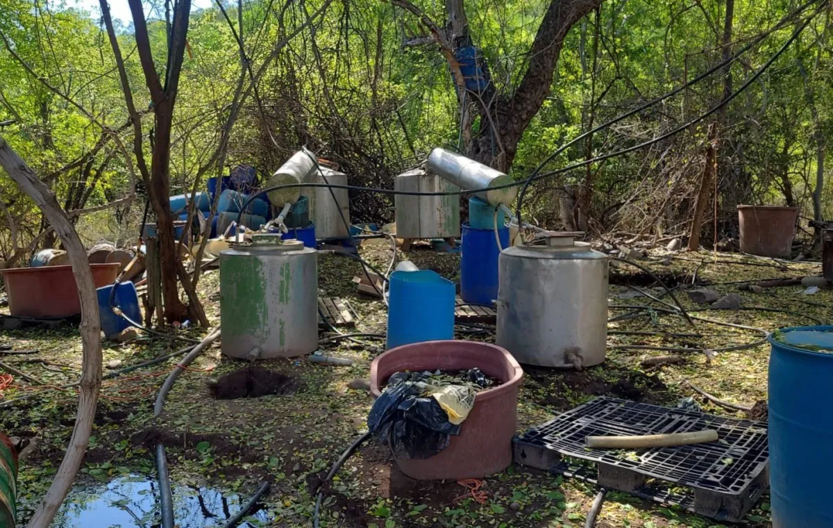Asegura Semar precursores en laboratorio clandestino de Elota, Sinaloa