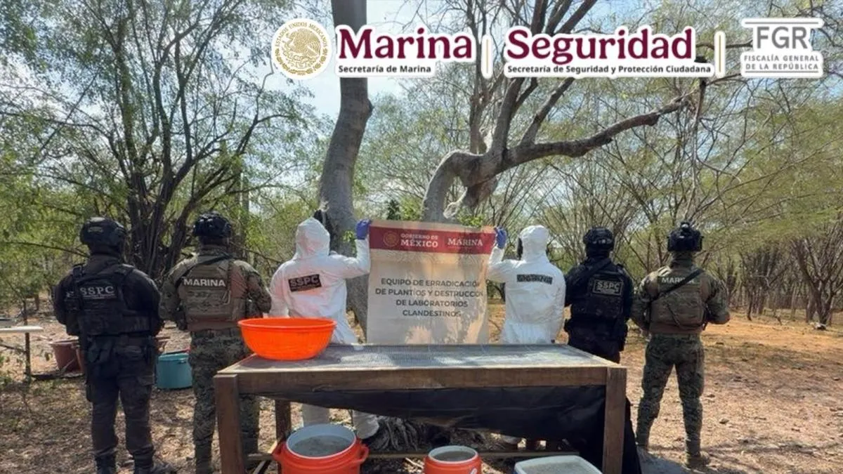 Aseguran precursores para metanfetaminas valuados en más de 136 millones de pesos