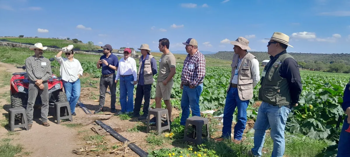 Agricultura y sector privado capacitan a 930 productores en Durango