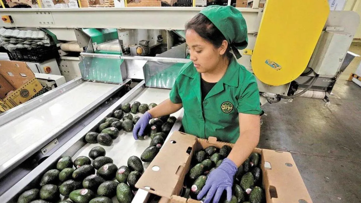 Participación laboral en México se reduce a su nivel más bajo en siete meses