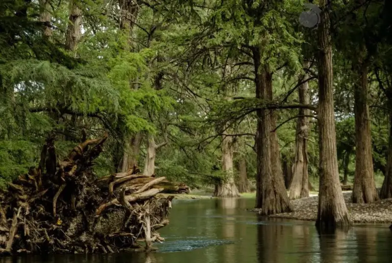 Celebra Río Sabinas su día entre contaminación y llamados a protegerlo
