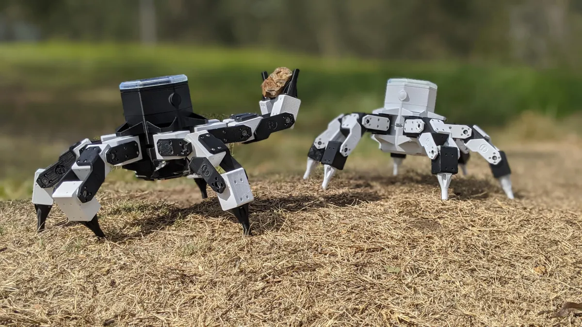 ¿Por qué los robots también van a la escuela?