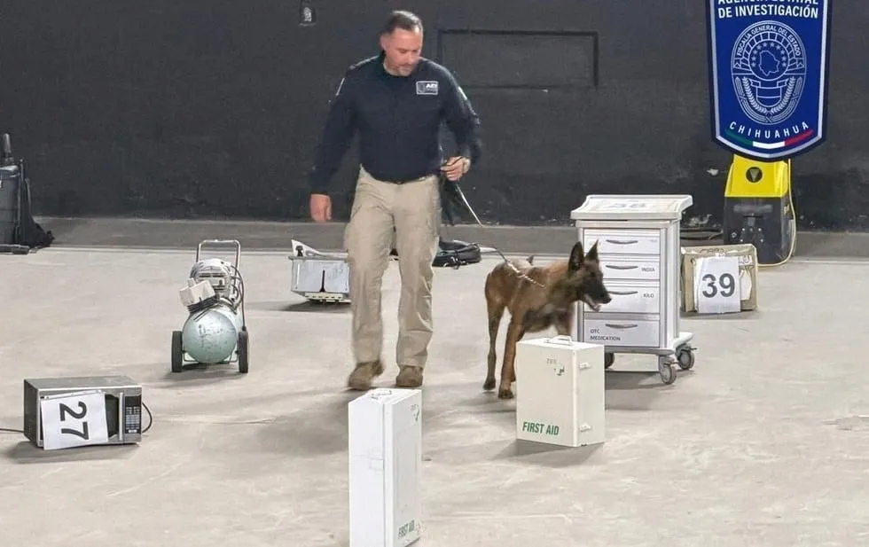 Se lucen grupos K9 de la AEI en El Paso