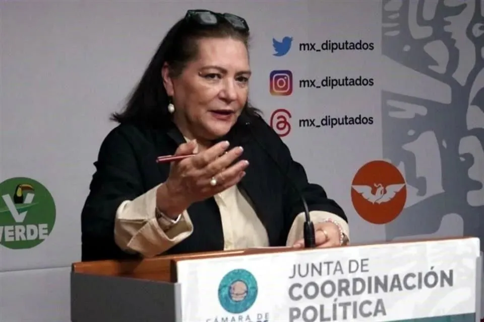 ¿Qué procede si no renuncia Taddei al INE?