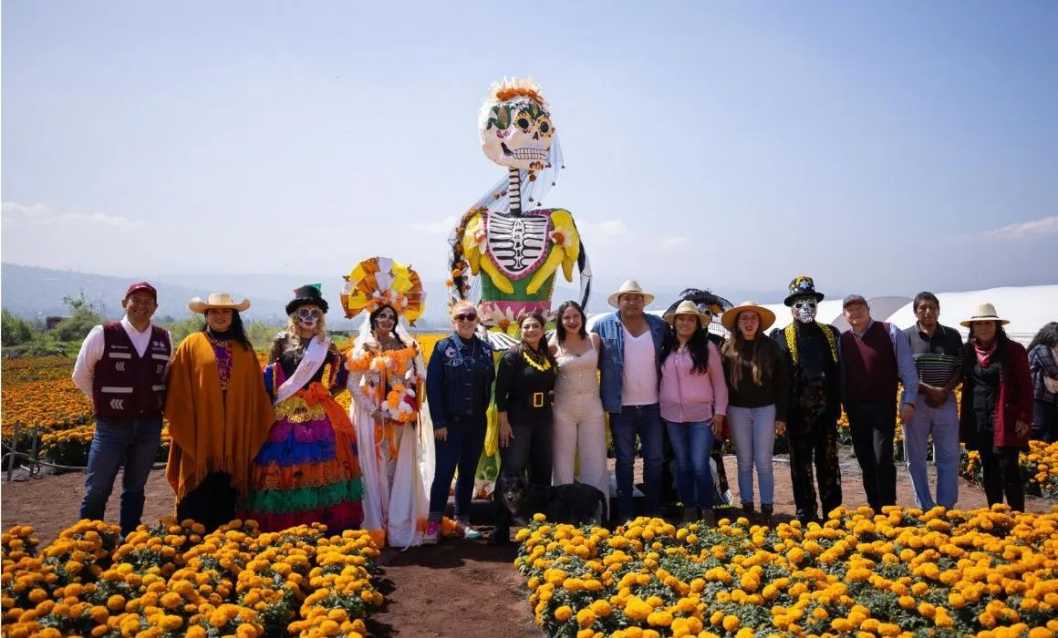 CDMX: alcanza Xochimilco récord de 10 millones de plantas de cempasúchil