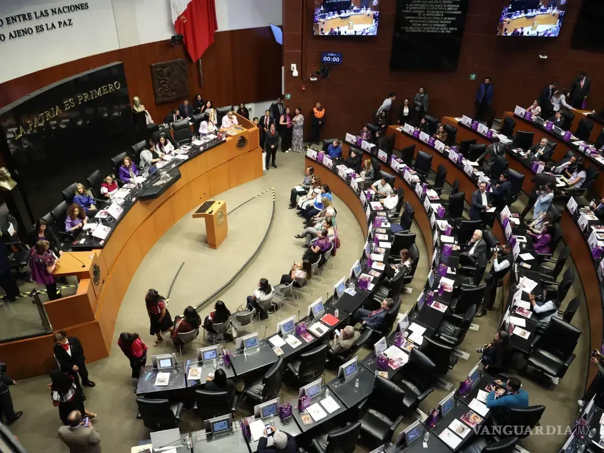 Enredan en Senado comprobar viáticos
