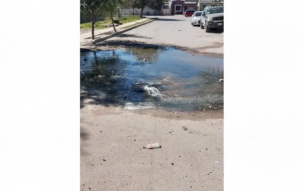 Satura pestilencia y aguas negras a Urbivilla del Campo