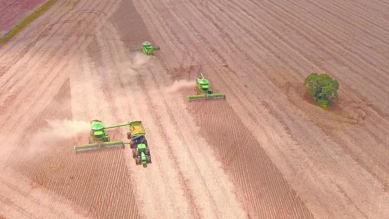 Molienda de soja da aliento a agroindustria argentina