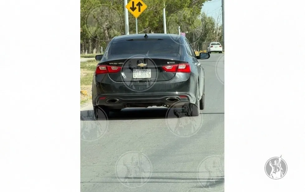 Buscan a dos por atropellar perro a exceso de velocidad y huir