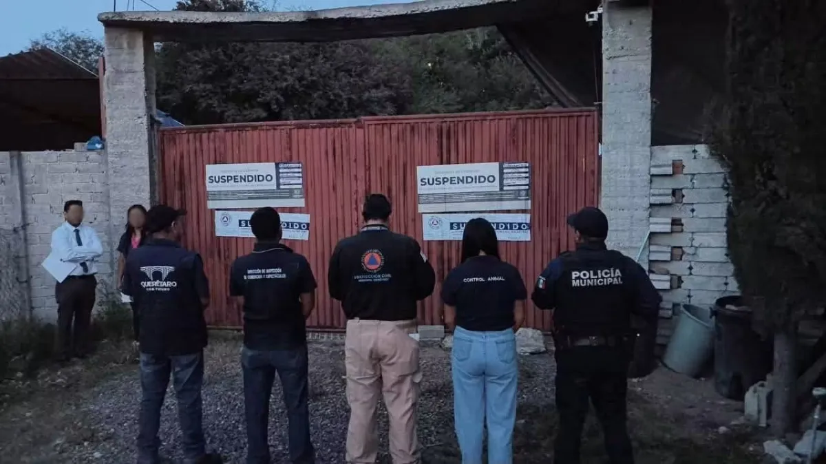 Suspenden pensión canina y resguardan a 28 perritos por presuntas irregularidades tras operativo en Juriquilla