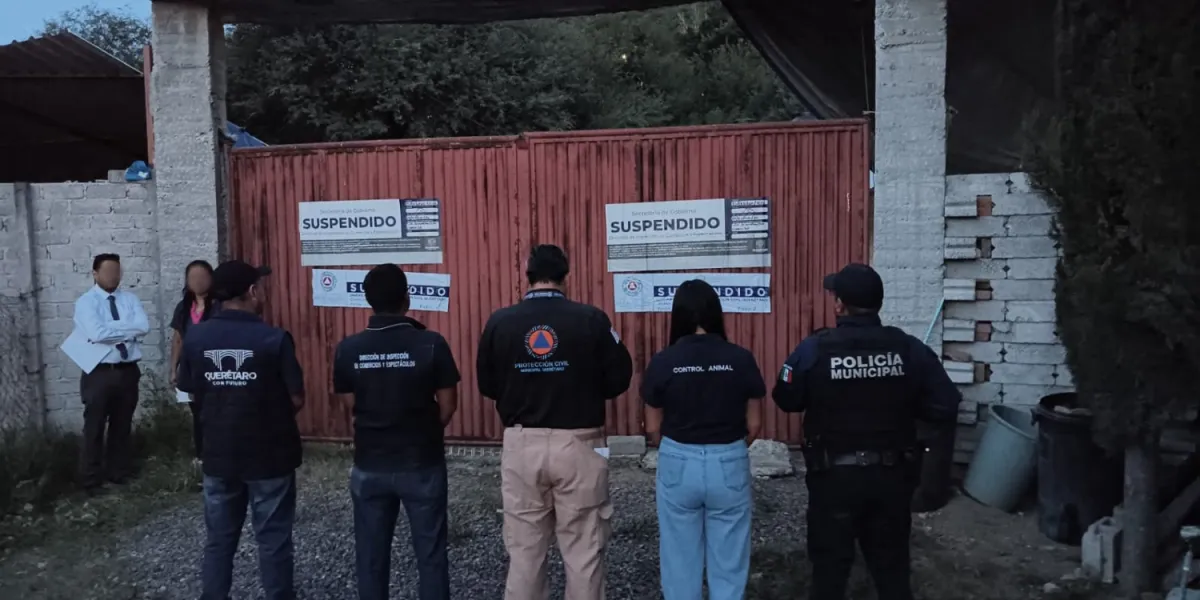 Rescatan a casi 30 perros que sufrían maltrato en supuesta pensión de mascotas