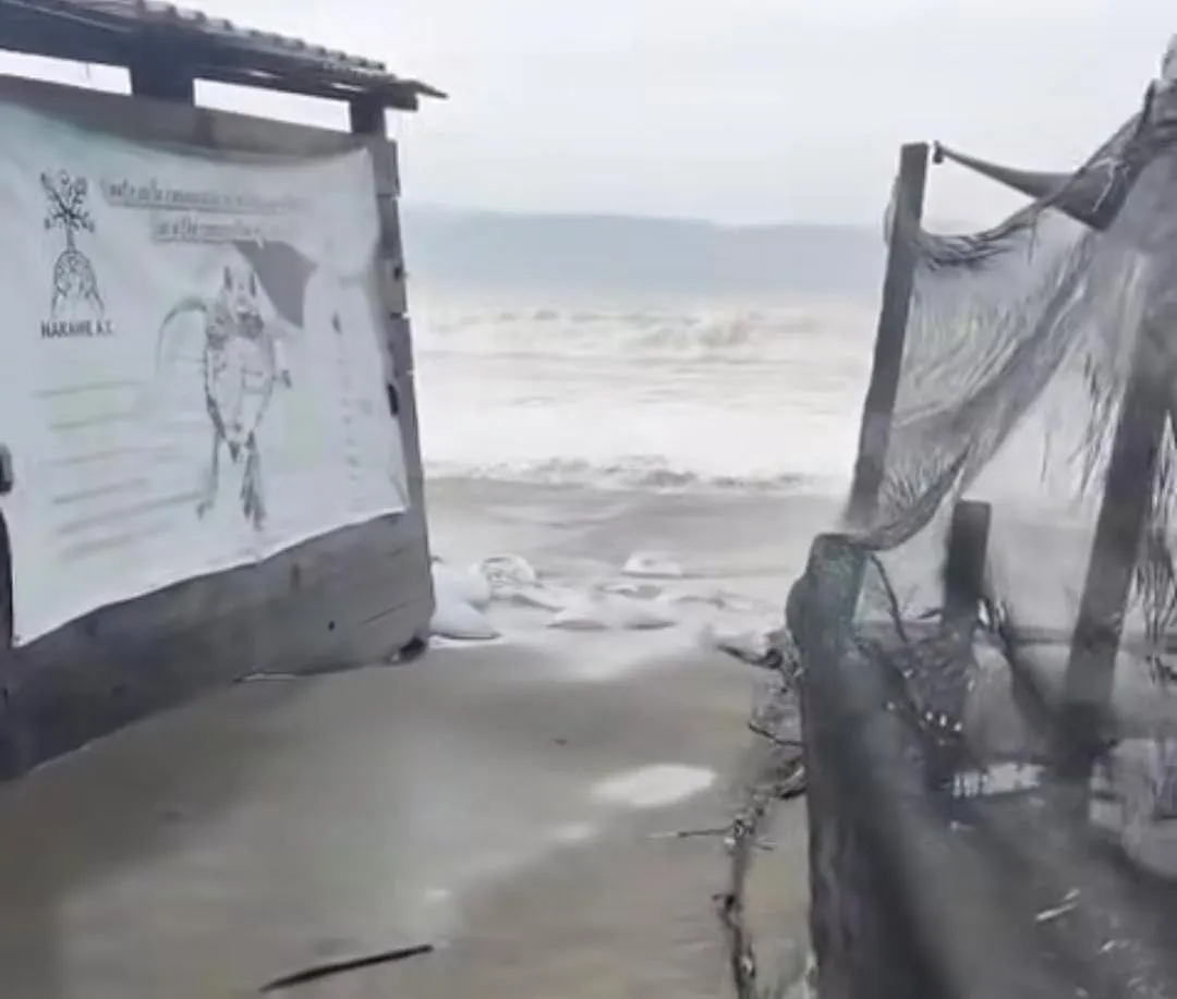 Huracanes Polo y Rachel destruyen campamento de Boca de Tomates en Vallarta