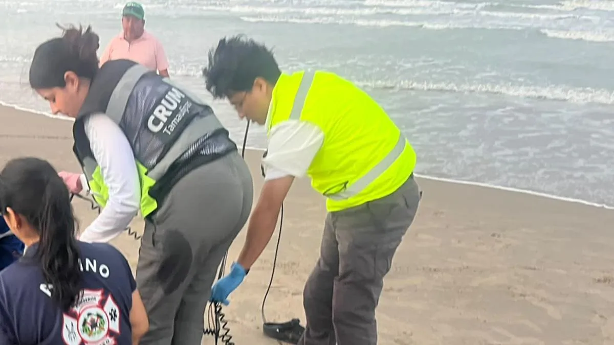 Maestro de la CDMX muere ahogado en playa Miramar
