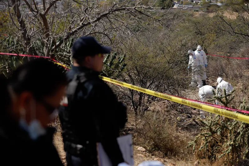 Hallan 35 restos óseos en arroyo de Piedras Negras