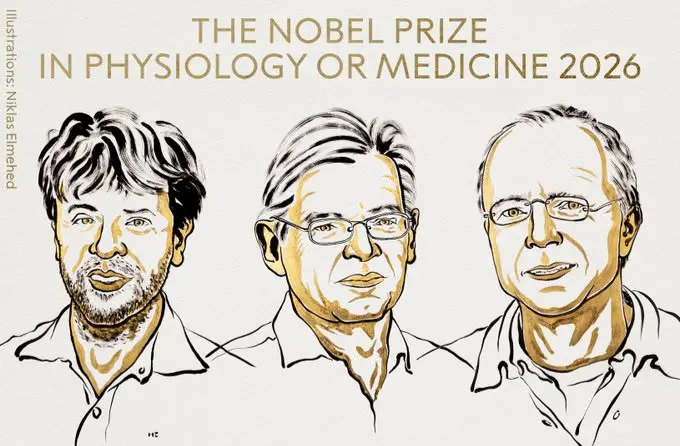 Nobel de Medicina reconoce avance para estudiar el cerebro con luz