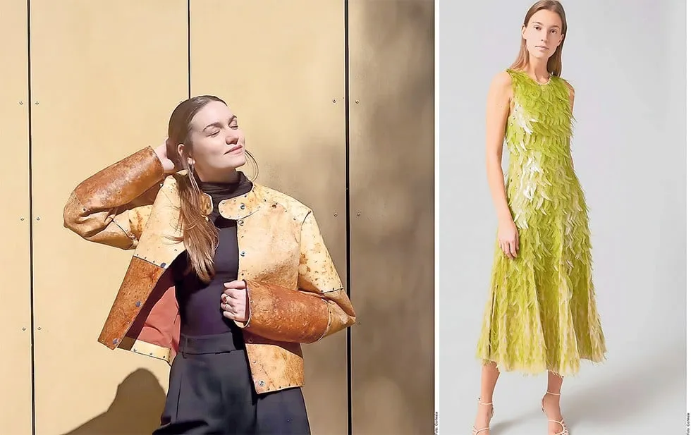 ¿Ropa biodegradable?