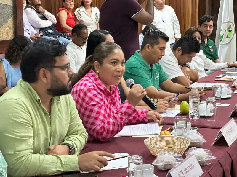 Aprueban instalar Consejo Técnico de Tránsito y Vialidad en Acapulco