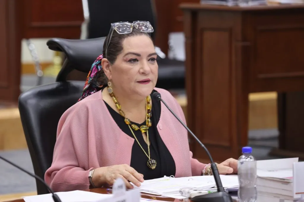 Contrapesos democráticos funcionan: INE ante investigación de ASF