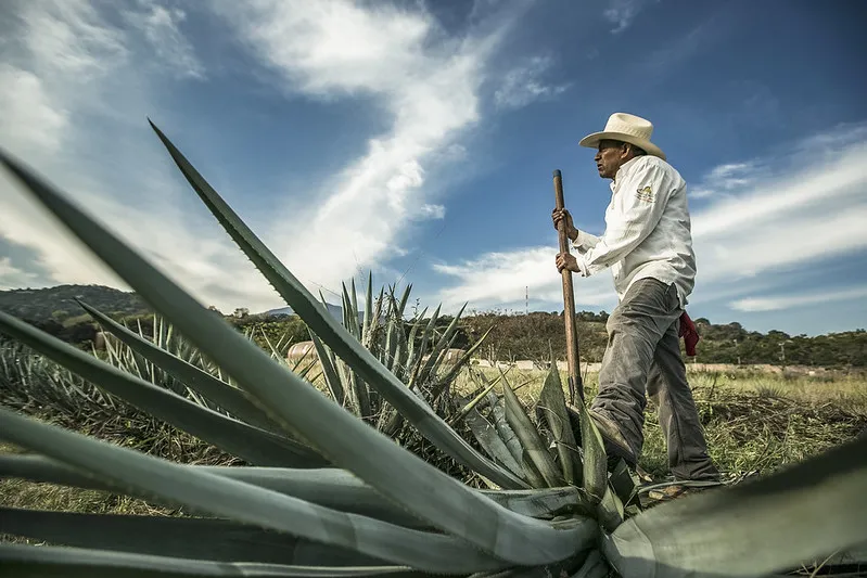 Lanza Sedeco distintivo Hecho en Jalisco para impulsar productos regionales