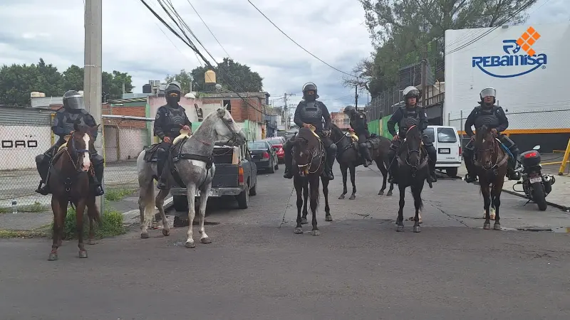 Llega caballería de Guardia Civil a La Huerta por marcha del FNLS