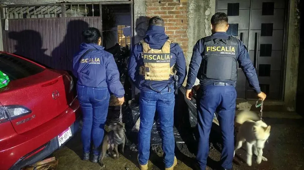 Cateo en Uruapan: FGE asegura dos perros atados a la intemperie