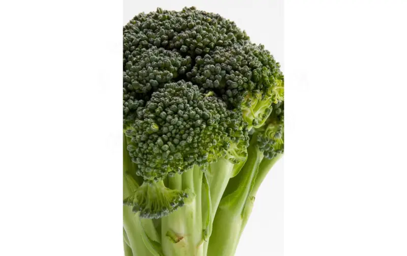 ¿Qué tan saludable es el brócoli?