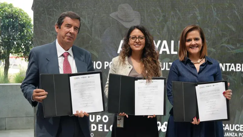Grupo Modelo y Millfoods destinan 28.3 mdp para impulsar la agricultura regenerativa
