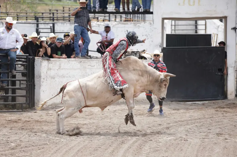 Propone Congreso declarar al rodeo como Patrimonio Cultural Intangible de Coahuila