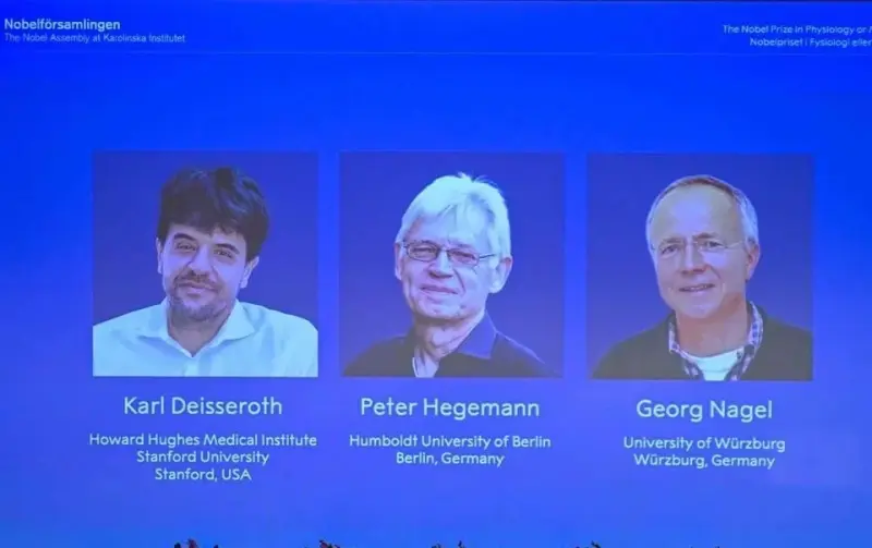 Dan Nobel de Medicina a investigadores de actividad cerebral