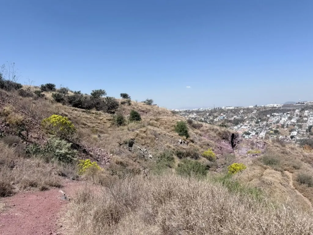 En mes y medio, listos programas de manejo de nuevas áreas naturales protegidas del municipio de Querétaro