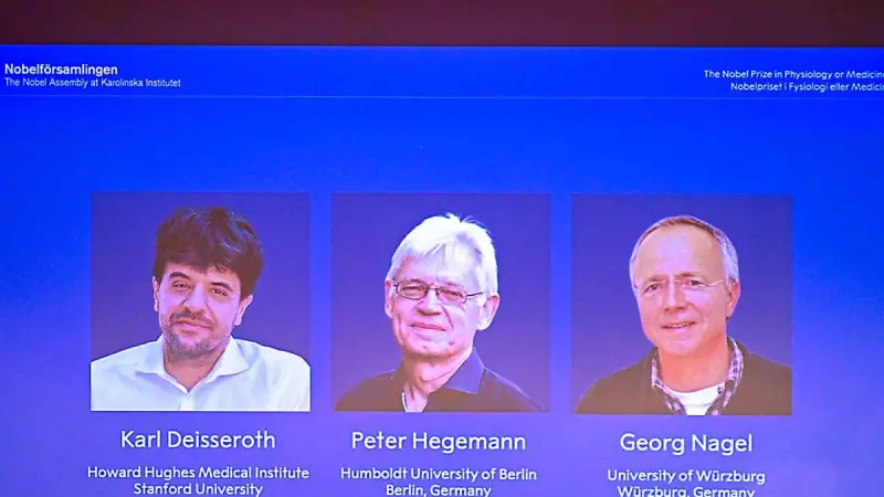 Deisseroth, Hegemann y Nagel ganan el Nobel de Medicina 2026 por optogenética