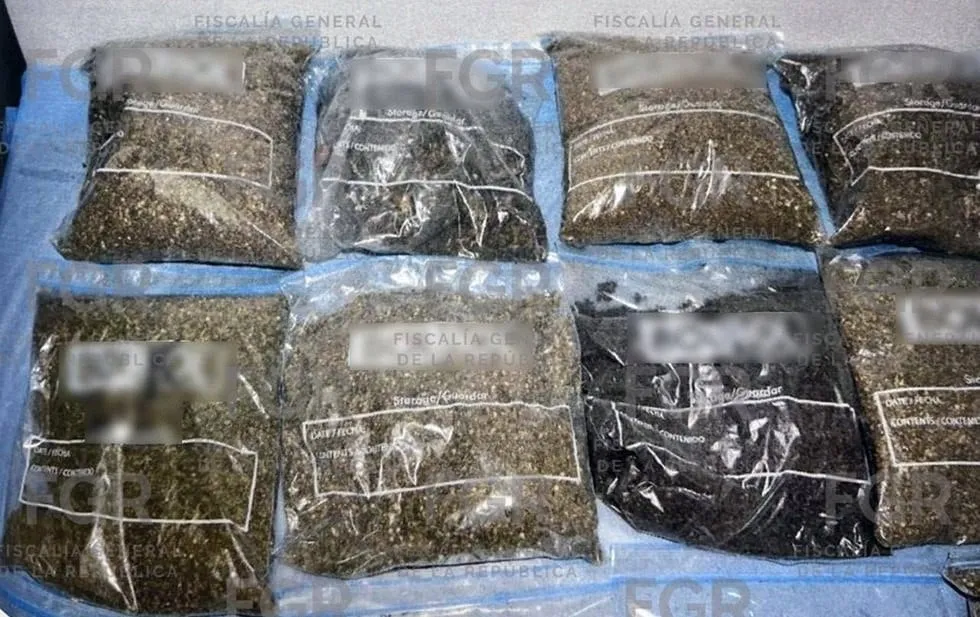 Vinculan a proceso a 3 detenidos con más de 26 kilos de marihuana