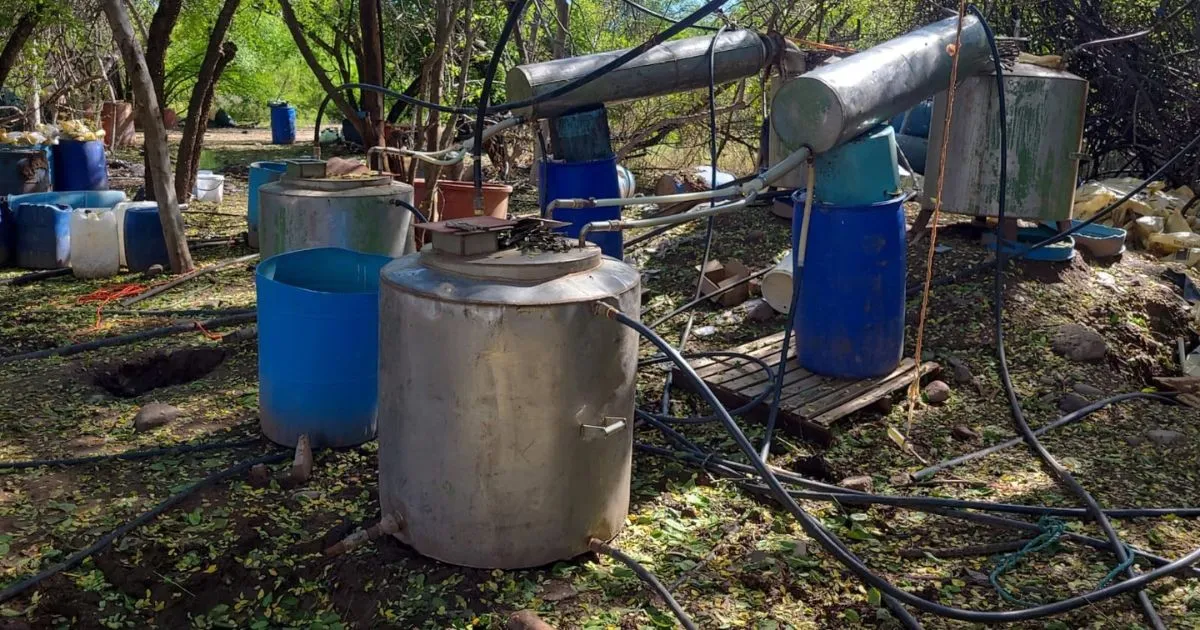 Desmantelan laboratorio clandestino en Elota, Sinaloa
