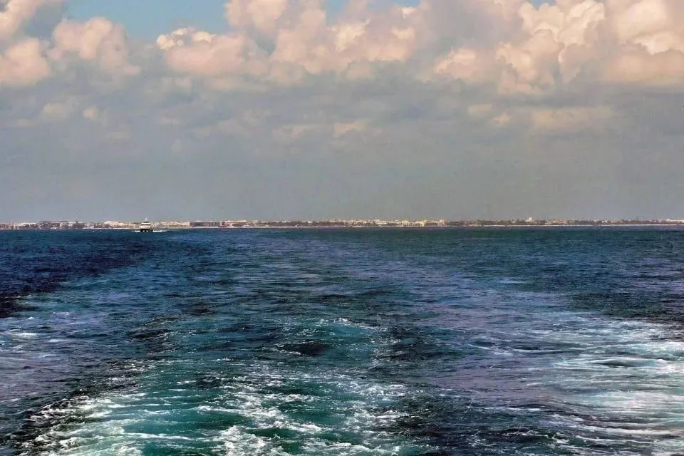 Demandan más recursos para protección de mares