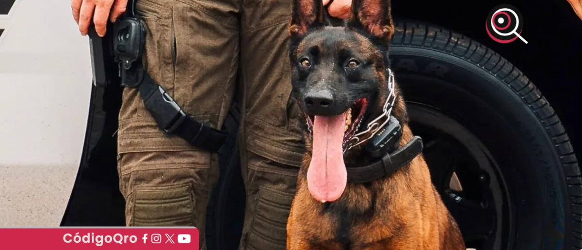 Inicia en EUA juicio por la mordedura de un perro policial a músico mexicano