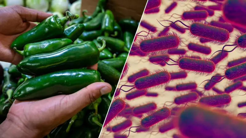 Cofepris revira a la FDA: No hay evidencia de que productos mexicanos causaran Salmonella y Cyclospora