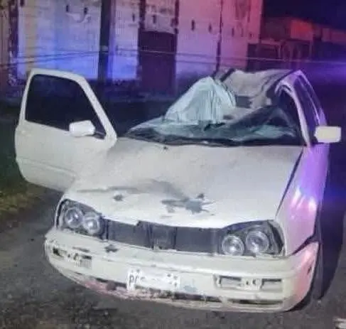 Muere conductora al caerle un caballo sobre su auto en Lerma